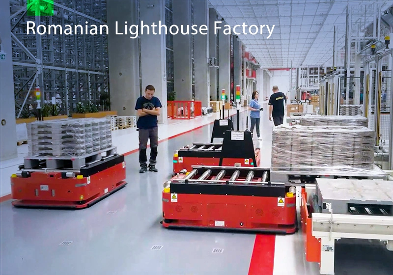 Household Appliance Industry-Romanian Lighthouse Factory-Intelligent Logistics Project